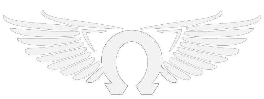 LOGO OMEGA